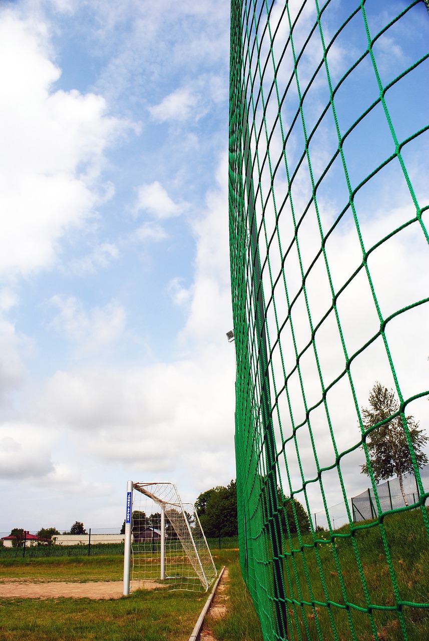 基维奥尔：我在波尔图适应得很快，很开心与贝德纳雷克共事