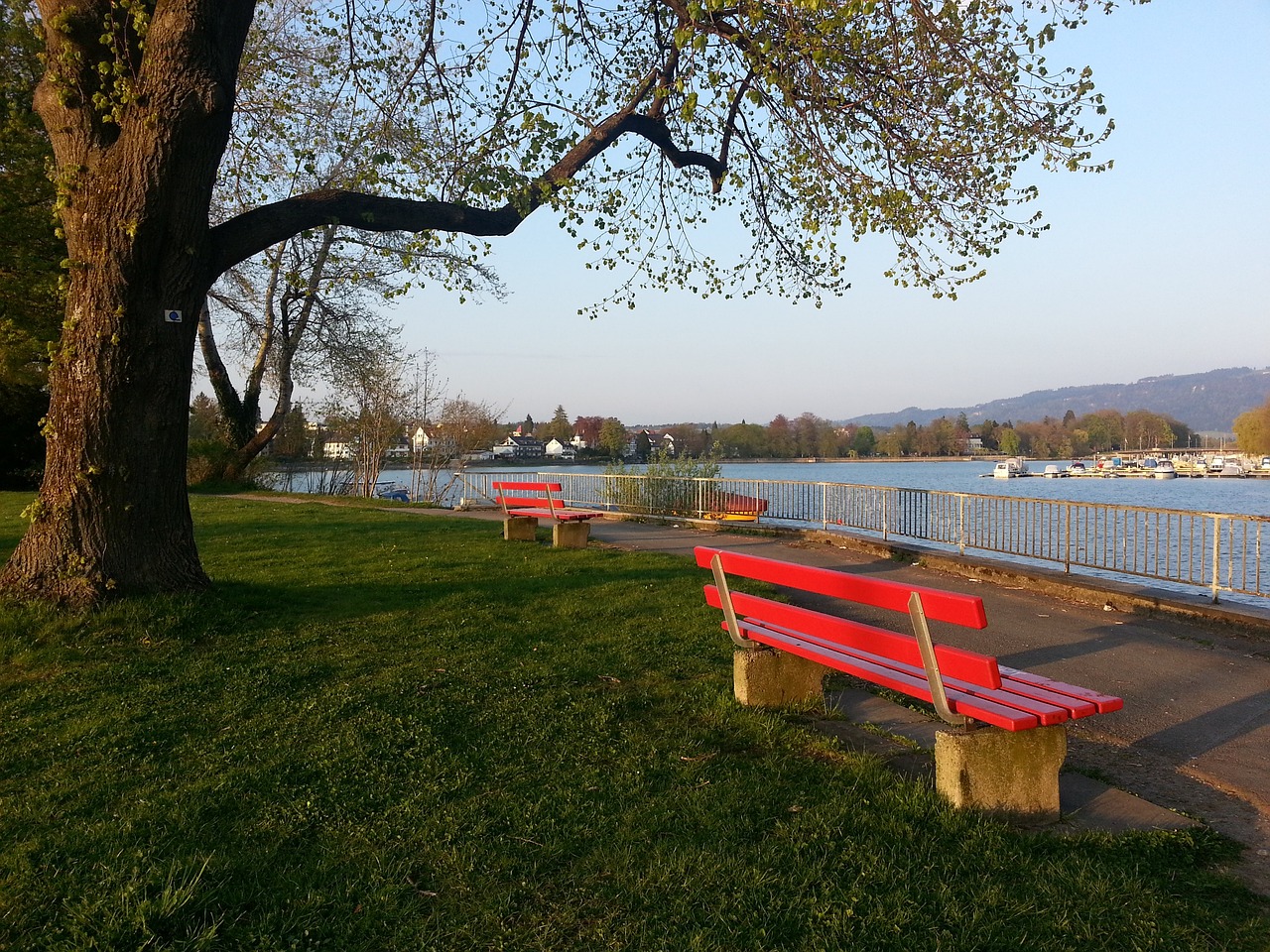 前威尔士前锋：虽然可能对阵意大利，但抽到两个主场就是优势